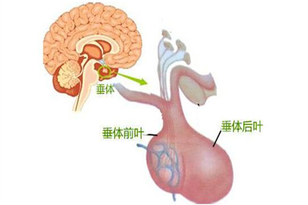微信图片_2026-03-13_160246_323.png