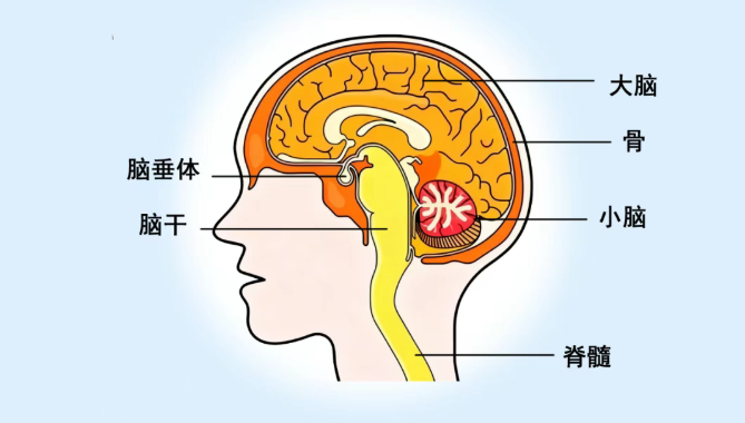 微信图片_2026-03-26_162803_194.png